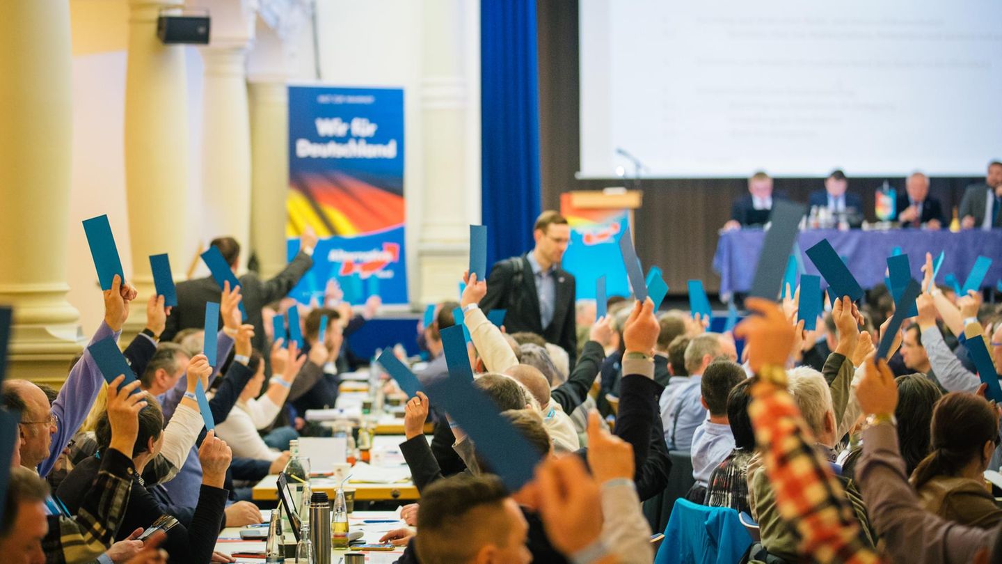 Am Wochenende findet der AfD-Parteitag in Köln statt (Symbolbild)