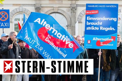 Anhänger der AfD bei einer Kundgebung in Hamburg im Jahr 2015 (Archivbild)