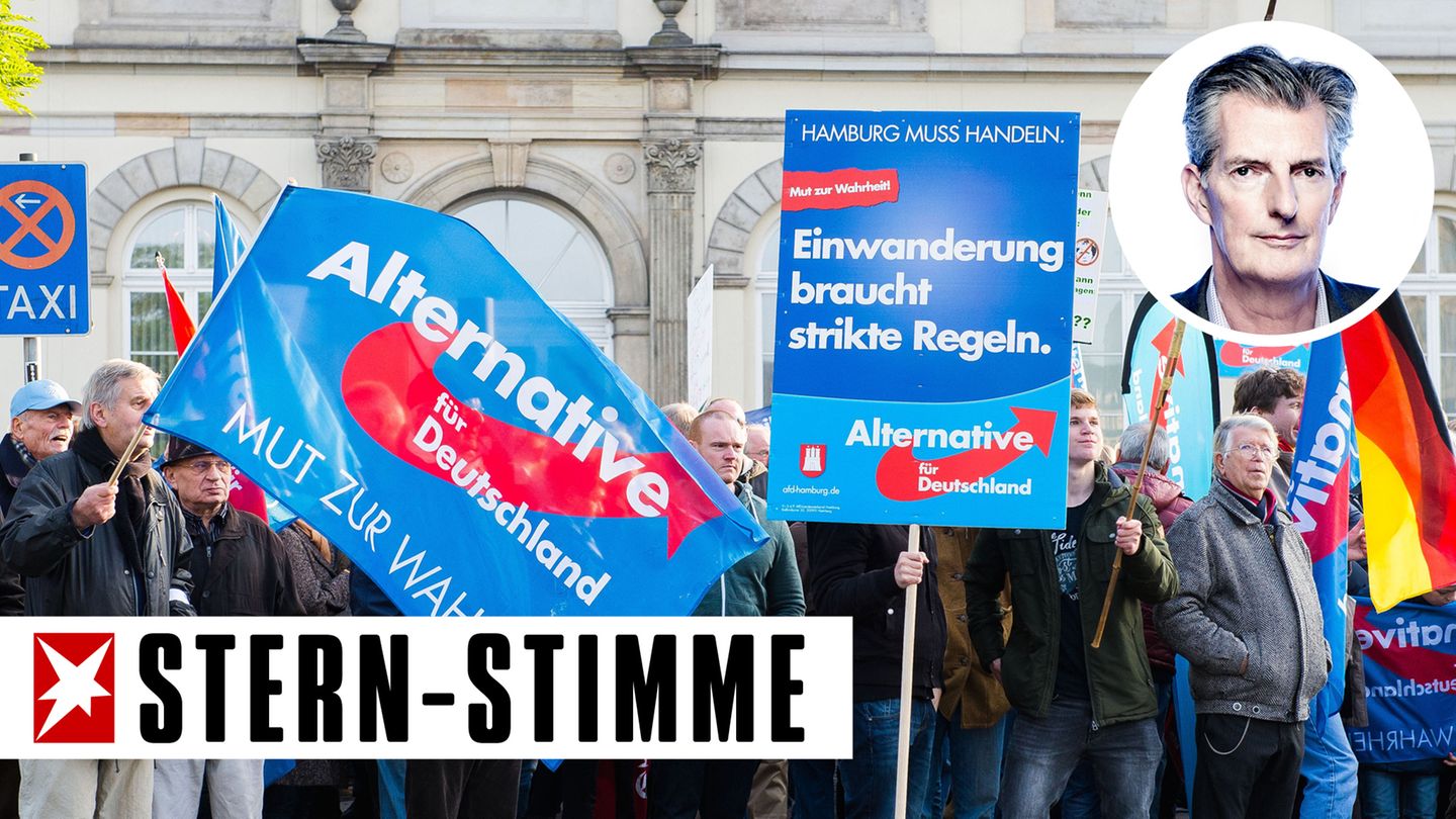 Anhänger der AfD bei einer Kundgebung in Hamburg im Jahr 2015 (Archivbild)