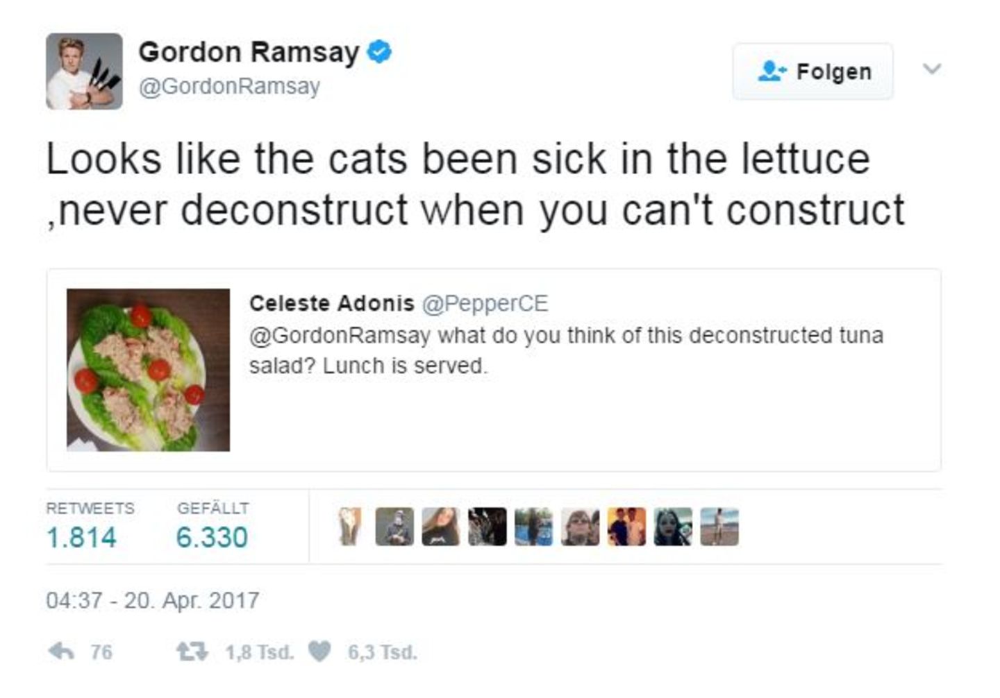 "Es sieht so aus, als wäre den Katzen über dem Salat schlecht geworden." Könnte sein.