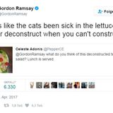 "Es sieht so aus, als wäre den Katzen über dem Salat schlecht geworden." Könnte sein.