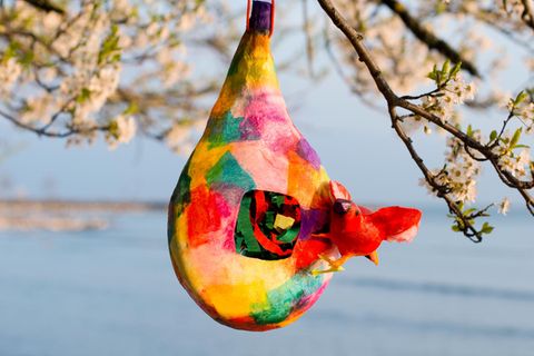 Für bunte Spechte