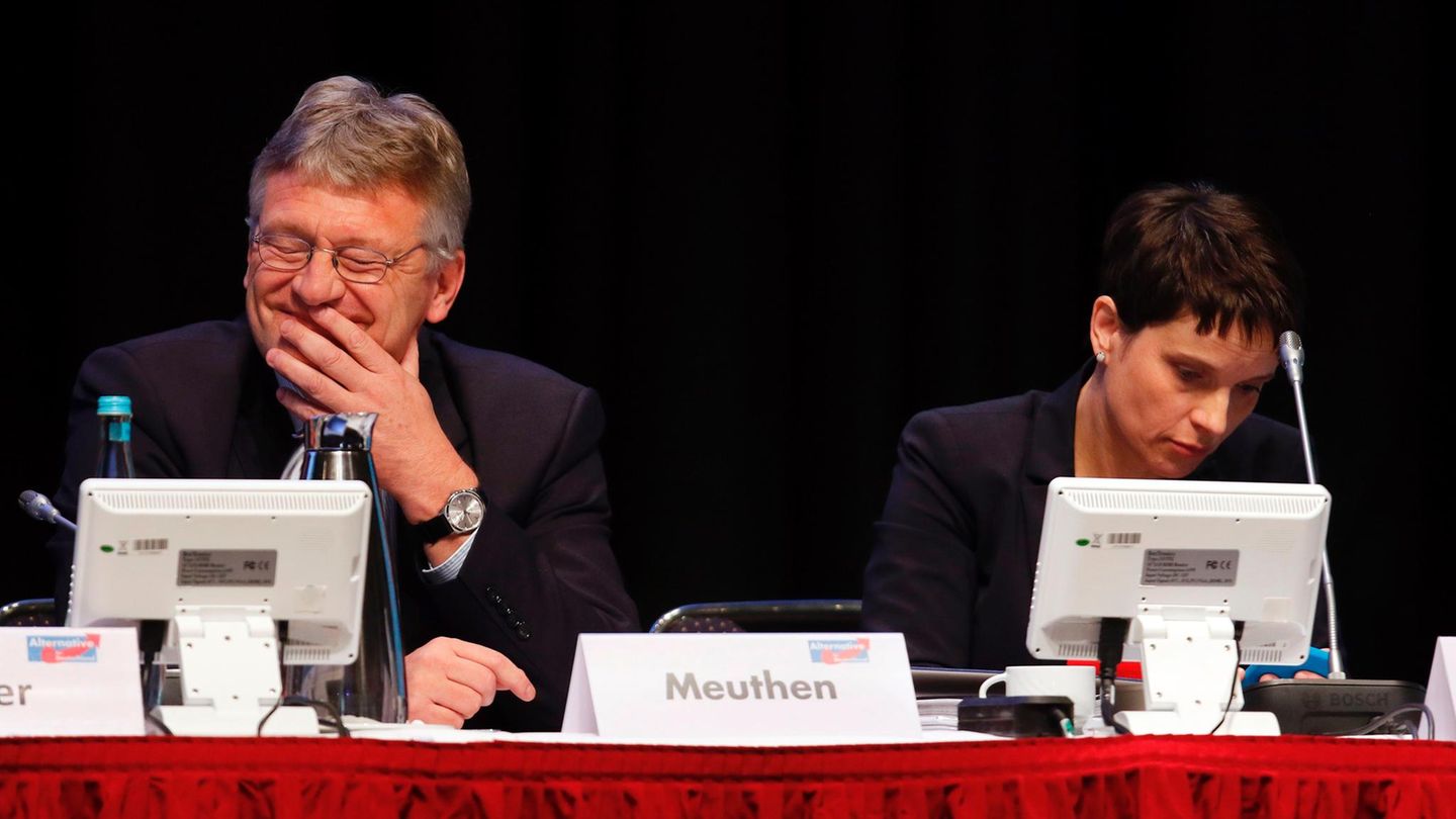 Jörg Meuthen und Frauke Petry