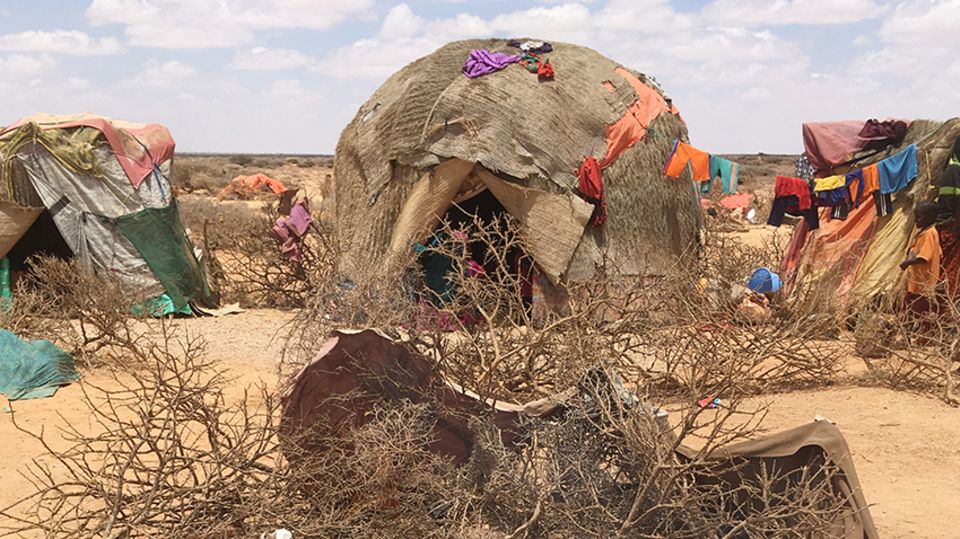 Hunger am Horn von Afrika: Die Hütten der nomadischen Familien im Dorf Uskura sind aus Ästen, Planen und Decken gebaut Die Hütten der nomadischen Familien im Dorf Uskura sind aus Ästen, Planen und Decken gebaut