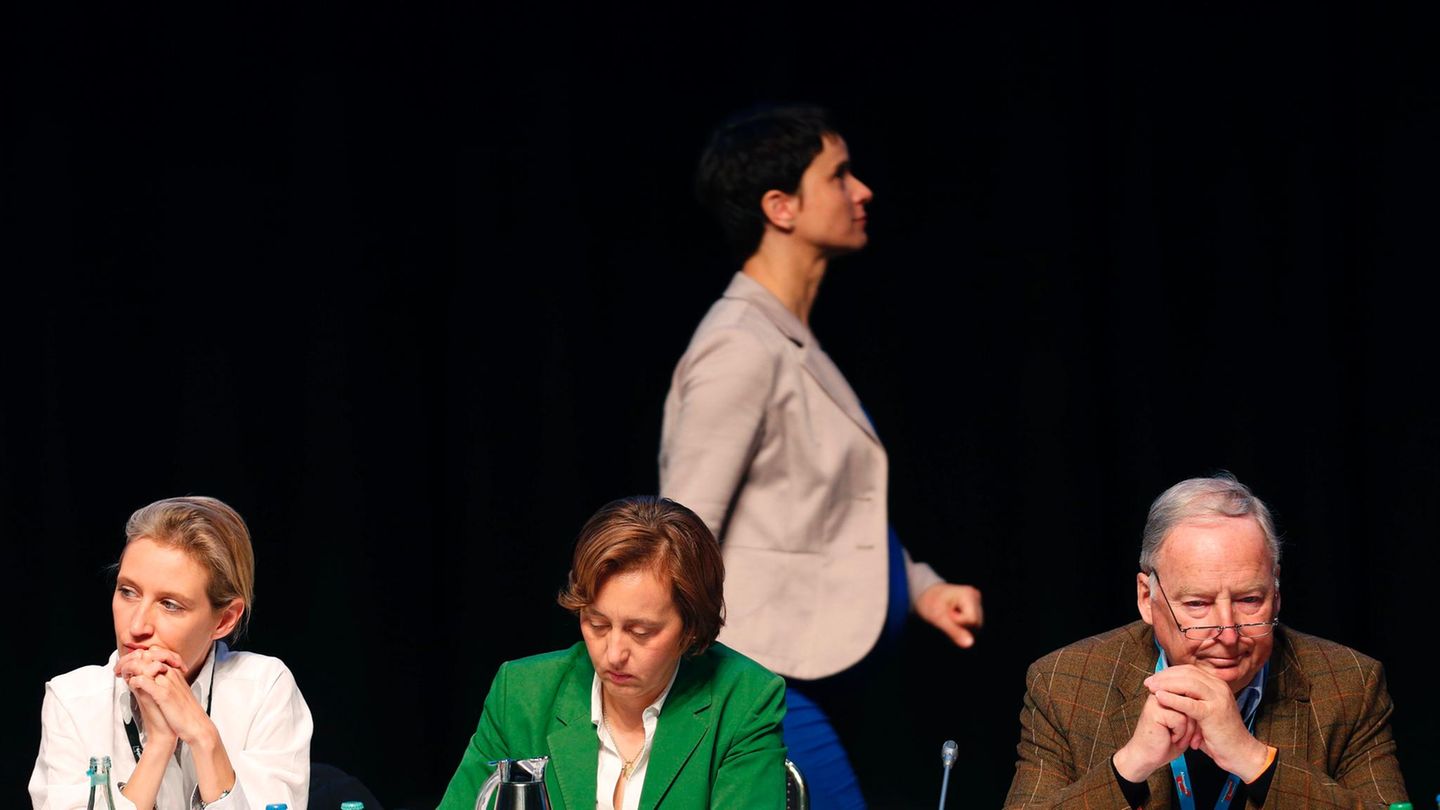 Bundesparteitag in Köln: Parteichefin Petry im Hintergrund, die AfD-Spitzenkandidaten Alice Weidel (l.) und Alexander Gauland vorn, in der Mitte Beatrix von Storch