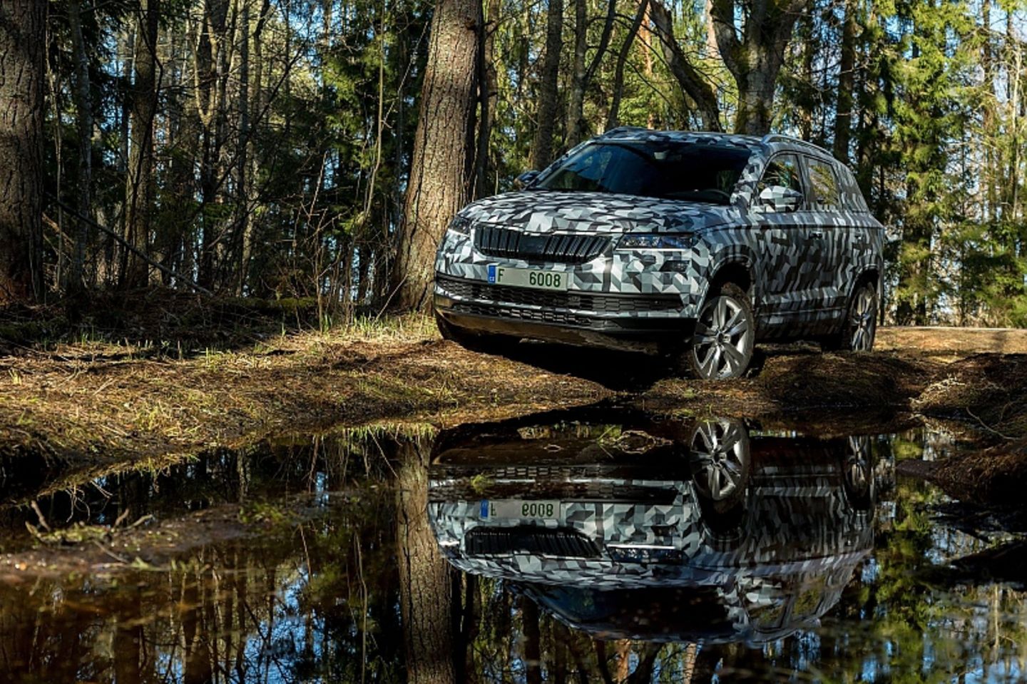Der Skoda Karoq ist kommod abgestimmt