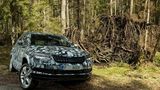 Die 150 PS Motoren sind keine Längsdynamikwunder
