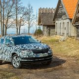 Adaptive Dämpfer werden optional zu haben sein