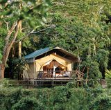 Auf Safari in Kenia: Endlose Savannen, dichte Urwälder und wilde Tiere  Der Fairmont Mara Safari Club ist fast komplett vom Fluss Mara umgeben, in dem sich Nilpferde tummeln. In einem Meer aus Gras können Sie im Spätsommer vom Balkon Ihres Luxuszeltes aus der Gnu-Wanderung zusehen. Das große Finale bietet der Lake Manyara, berühmt für seine auf Bäume kletternden Löwen, sowie der Ngorongoro-Krater. Der ehemalige Vulkan ist heute ein Paradies für Wildtiere. 