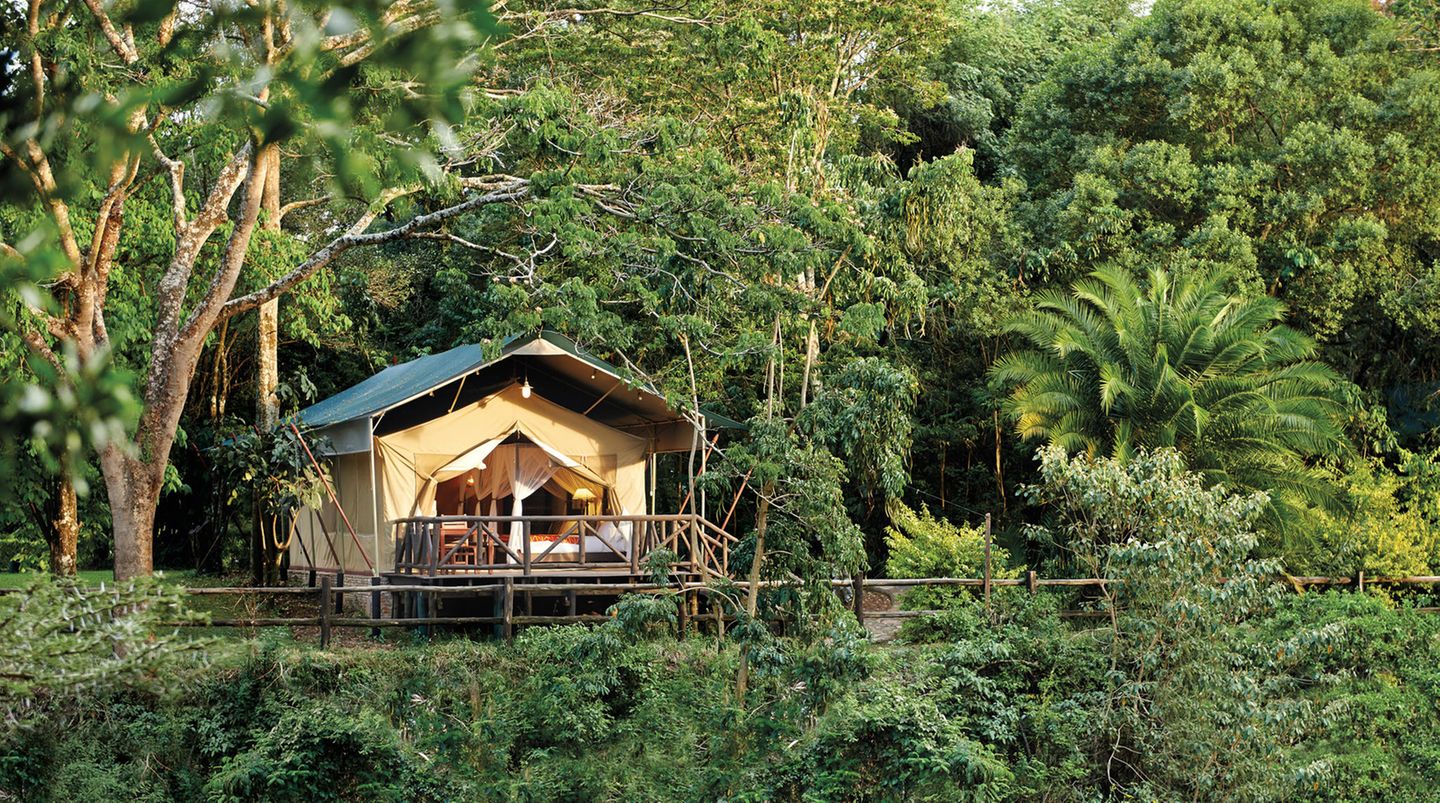 Auf Safari in Kenia: Endlose Savannen, dichte Urwälder und wilde Tiere  Der Fairmont Mara Safari Club ist fast komplett vom Fluss Mara umgeben, in dem sich Nilpferde tummeln. In einem Meer aus Gras können Sie im Spätsommer vom Balkon Ihres Luxuszeltes aus der Gnu-Wanderung zusehen. Das große Finale bietet der Lake Manyara, berühmt für seine auf Bäume kletternden Löwen, sowie der Ngorongoro-Krater. Der ehemalige Vulkan ist heute ein Paradies für Wildtiere. 