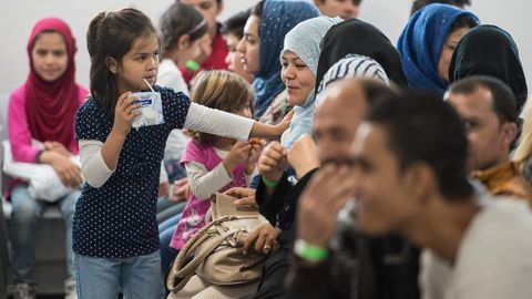 Berater Schropfen Fluchtlingsamt 00 Euro essatz Fur Praktikanten Stern De