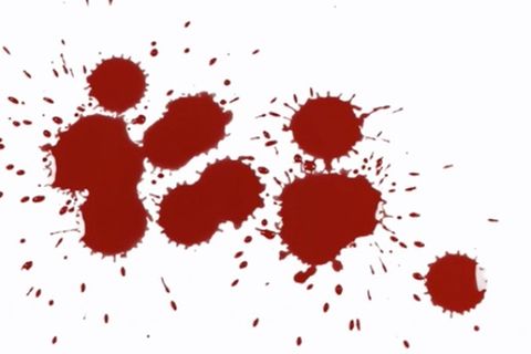 NEON Unnützes Wissen: Können Mücken betrunken werden? - zehn kuriose Fakten zu Blut
