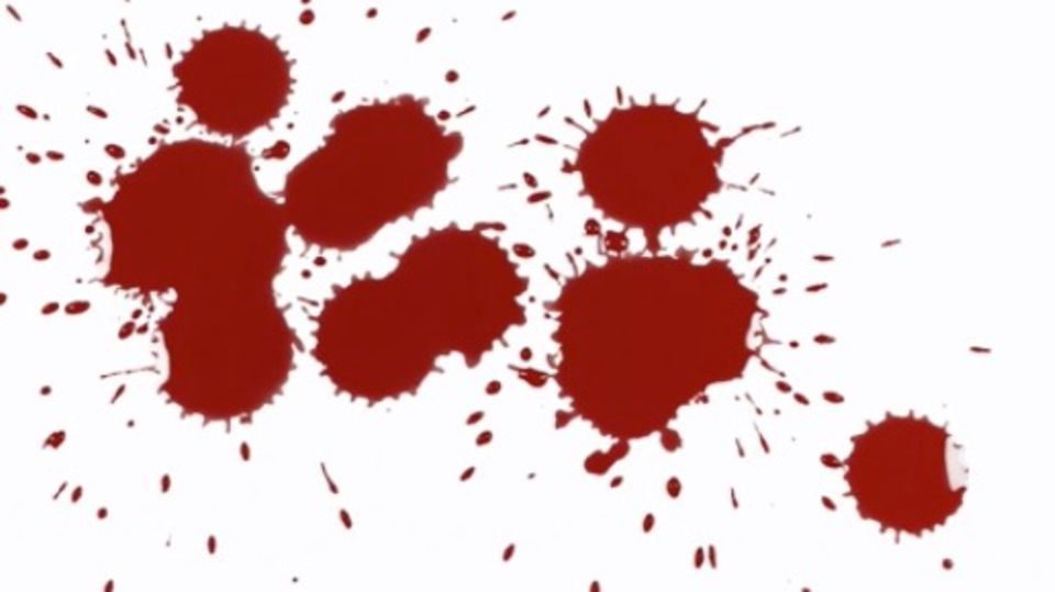 NEON Unnützes Wissen: Können Mücken betrunken werden? - zehn kuriose Fakten zu Blut NEON Unnützes Wissen: Können Mücken betrunken werden? - zehn kuriose Fakten zu Blut