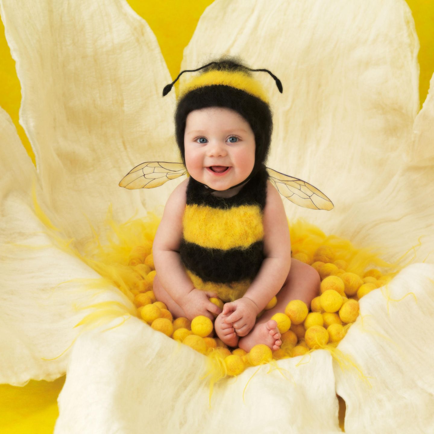 Bildband "Small World" : Kunst oder Kitsch? Süße Babybilder von Anne Geddes