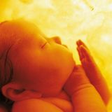 Bildband "Small World" : Kunst oder Kitsch? Süße Babybilder von Anne Geddes