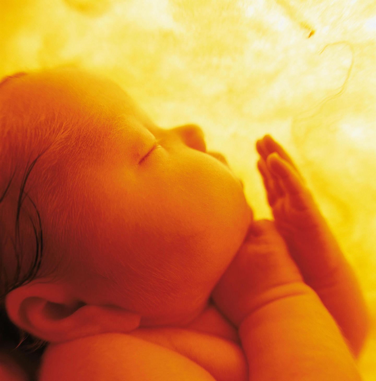 Bildband "Small World" : Kunst oder Kitsch? Süße Babybilder von Anne Geddes