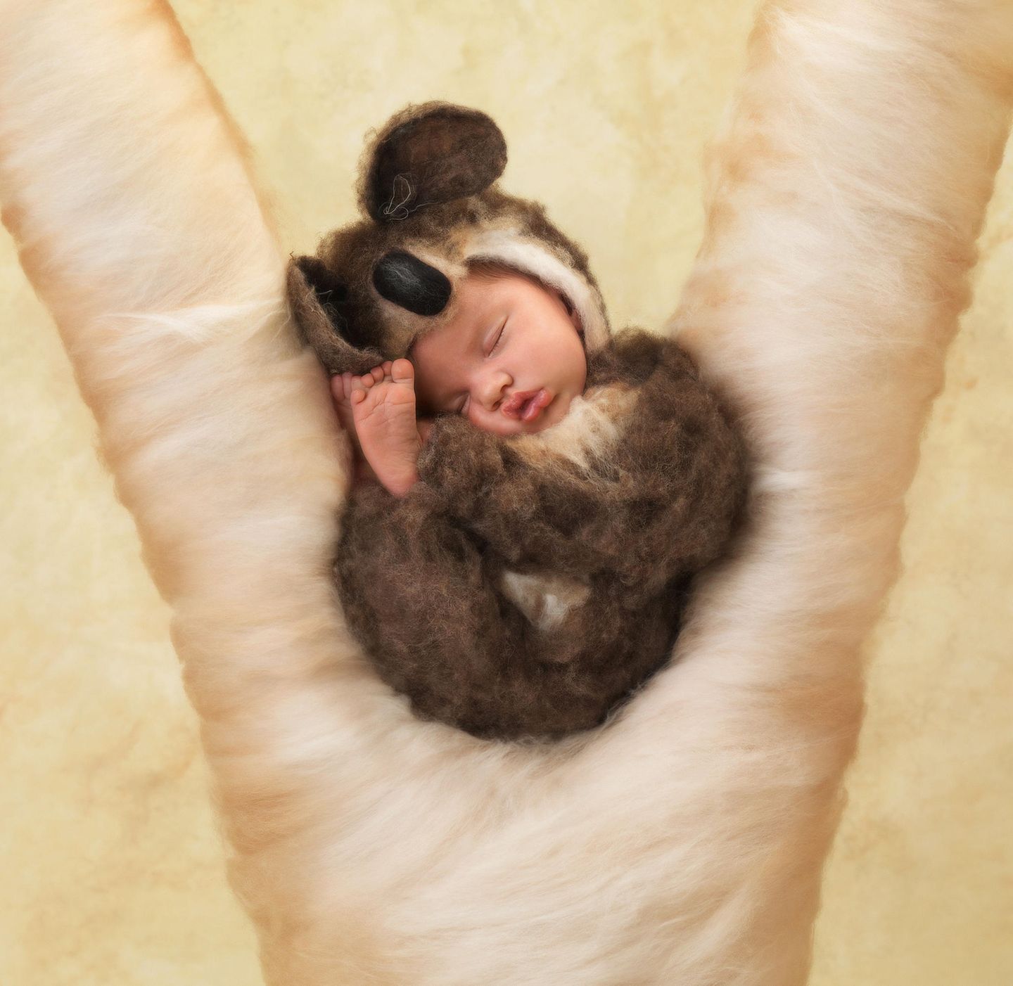 Bildband "Small World" : Kunst oder Kitsch? Süße Babybilder von Anne Geddes