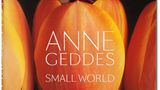 Anne Geddes "Small World"
