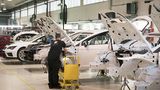 Fünf Seat Leon Cup Racer werden parallel montiert