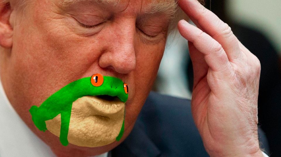 Donals Trump mit Frosch im Gesicht