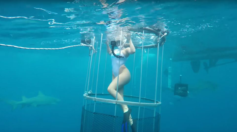Molly Cavalli: Molly im Wasser - die Kameramänner schwimmen übrigens ohne Schutz. Molly im Wasser - die Kameramänner schwimmen übrigens ohne Schutz.