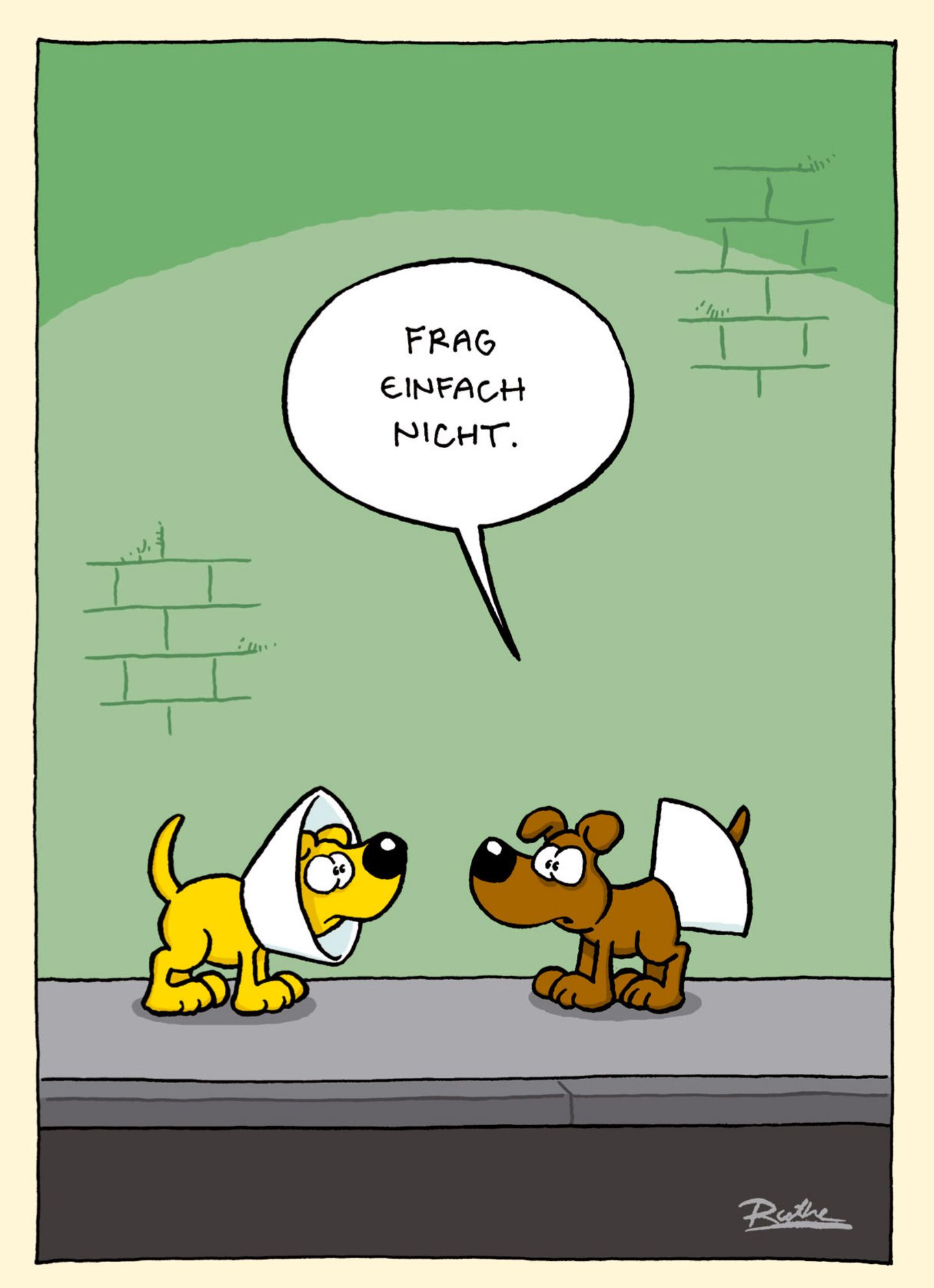 Cartoon-Buch: Zum Buch Zum Buch