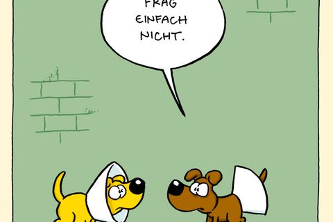 Zum Buch