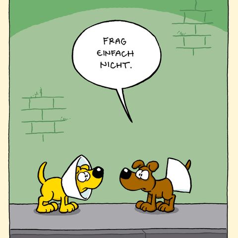 Zum Buch