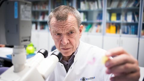 Klaus Püschel, ein Mann im weißen Kittel, sitzt vor einem Mikroskop. Er betrachtet eine Probe, die er in seiner linken Hand hält