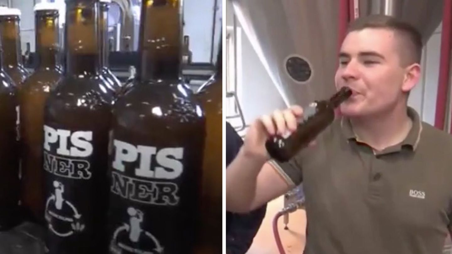 Pisner: Dänen stellen Bier mit Urin her | STERN.de