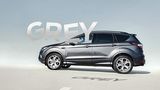 Grau hat sich bei Ford zur Trendfarbe entwickelt.