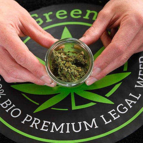 Cannabis