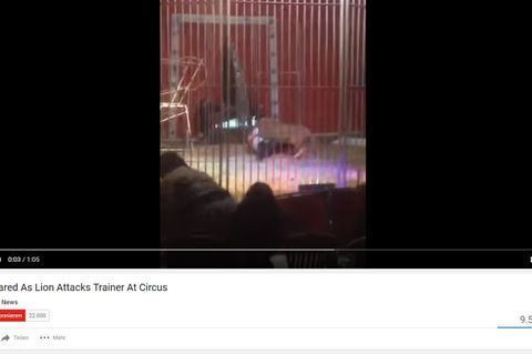 Das Video zeigt die Löwenattacke in einem Zirkus im Norden von Frankreich