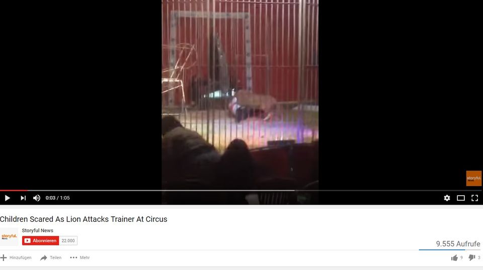 Das Video zeigt die Löwenattacke in einem Zirkus im Norden von Frankreich Das Video zeigt die Löwenattacke in einem Zirkus im Norden von Frankreich