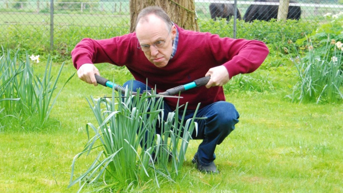 stern-Autor Kester Schlenz kämpft mit Heckenschere