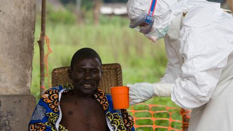 Ein Arzt der Hilfsorganisation "Ärzte ohne Grenzen" pflegt einen Ebola-Patienten. Die WHO bestätigt den Ausbruch.