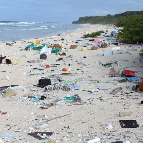 Müllkippe Henderson Island: Forscher fanden an den Stränden der kleinen, unbewohnten Insel rund 38 Millionen Kunststoffteile.