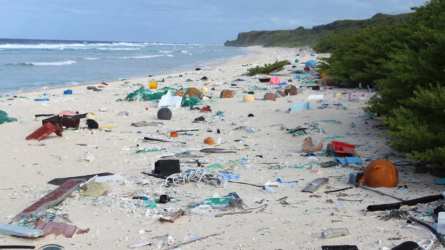 Müllkippe Henderson Island: Forscher fanden an den Stränden der kleinen, unbewohnten Insel rund 38 Millionen Kunststoffteile.