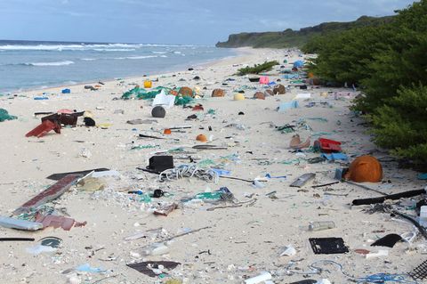 Müllkippe Henderson Island: Forscher fanden an den Stränden der kleinen, unbewohnten Insel rund 38 Millionen Kunststoffteile.