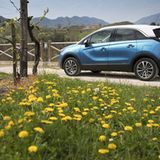 1,98 Meter breit und 1,61 Meter hoch.