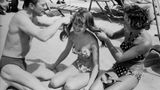 Brigitte Bardot in Cannes