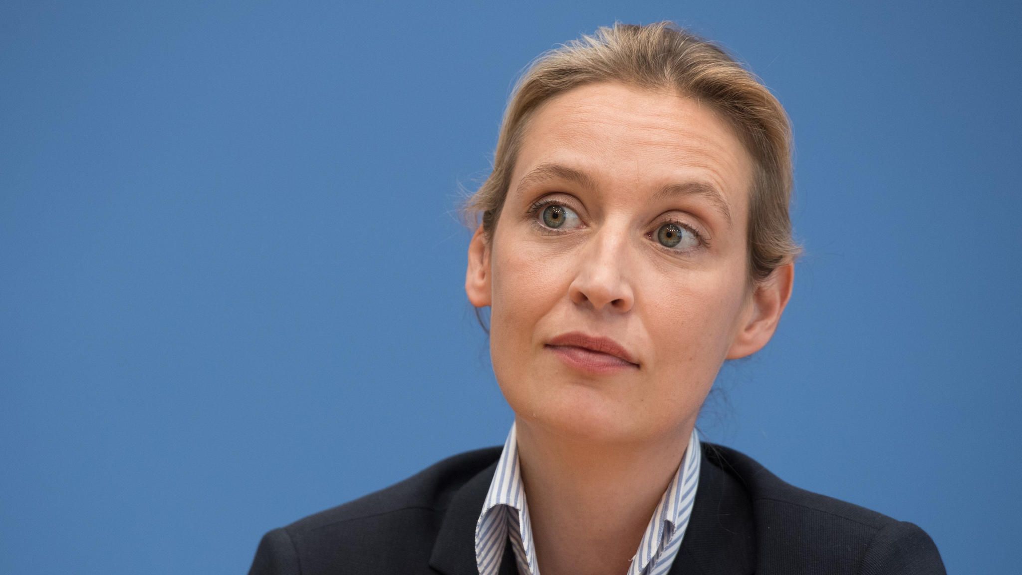 Alice Weidel NRD-Sendung extra 3 darf AfD-Frau Foto