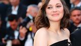 Marion Cotillard