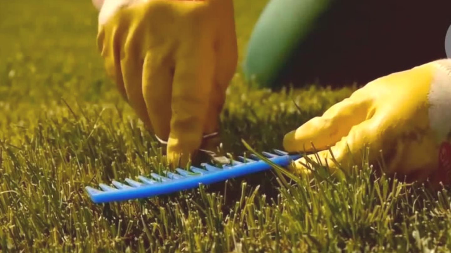 Rasenpflege: So wird der Rasen fit für den Sommer | STERN.de