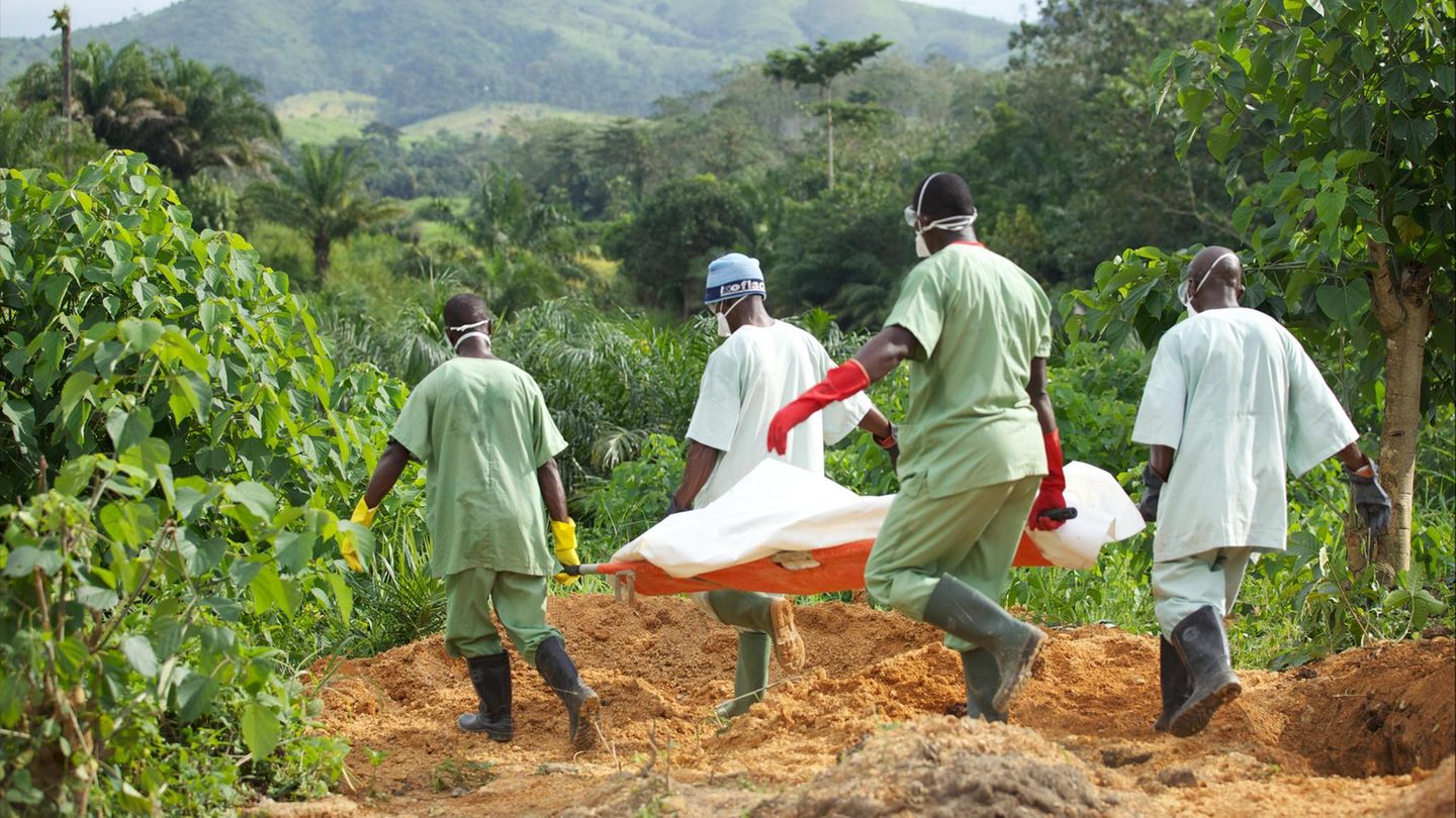 Mitglieder des roten Kreuz im Kongo tragen mit Ebola infizierten Leichnam