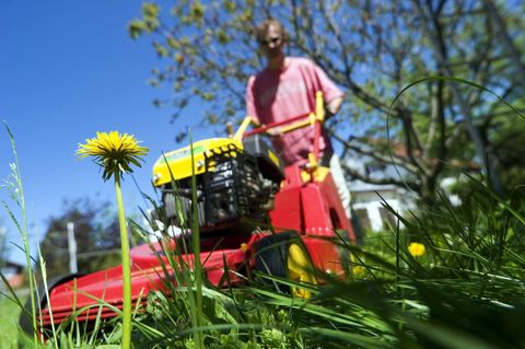 Ein Mann mäht den Rasen