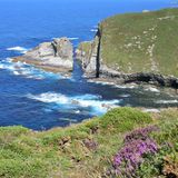 Farbenspiele in Grün und Blau  Felsig und steil zeigt sich die Küste zumeist, die Ausläufer des Kantabrischen Gebirges, das Asturien von Ost nach West gegen das übrige Spanien abschirmt, reichen bis ans Meer. Und im feuchten Klima gedeihen an der Costa Verde die Pflanzen in aller Vielfalt, vom Strandhafer über den Apfelbaum bis zur eingewanderten Palme.