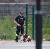 Ein Polizist sucht mit einem Spürhund die Umgebung der Arena ab