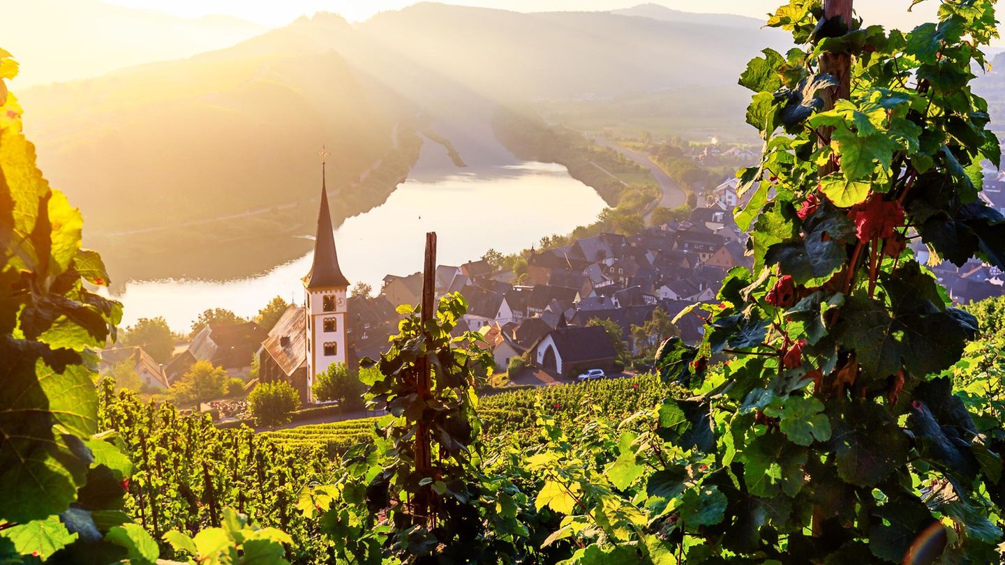 Rheinland-Pfalz