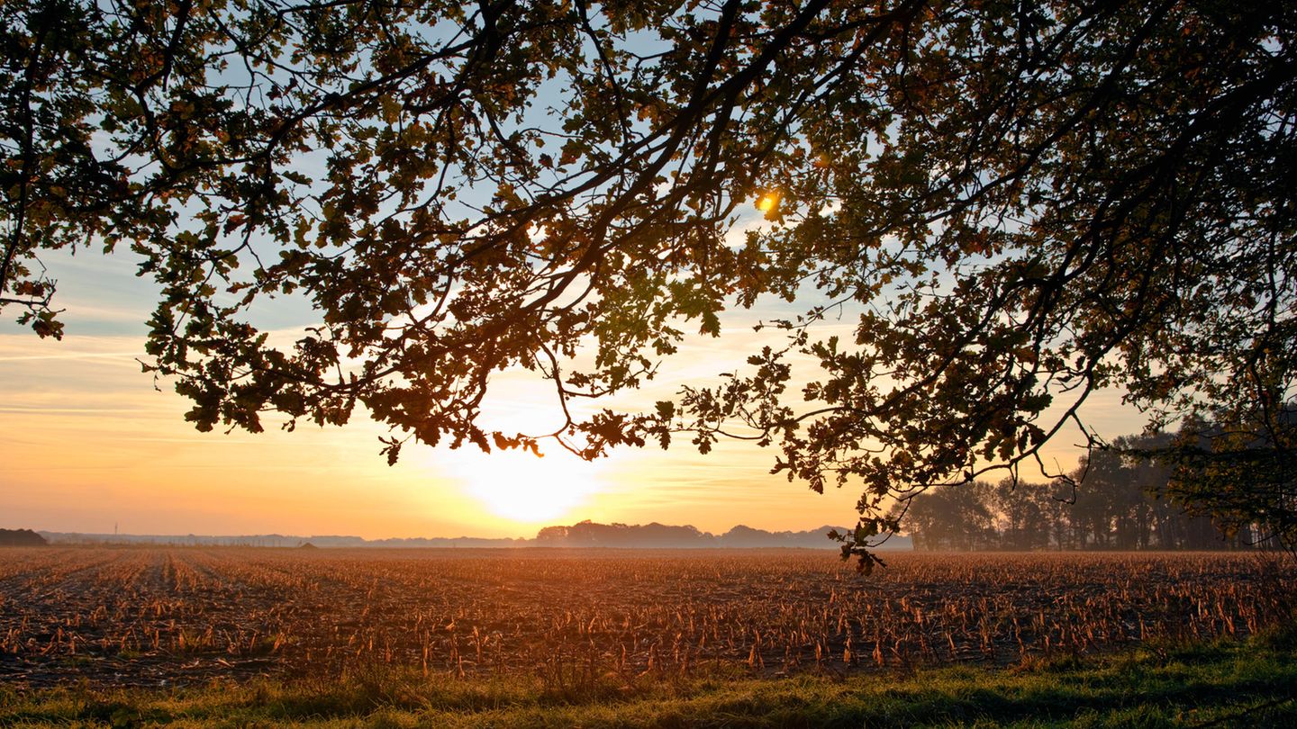 Niedersachsen